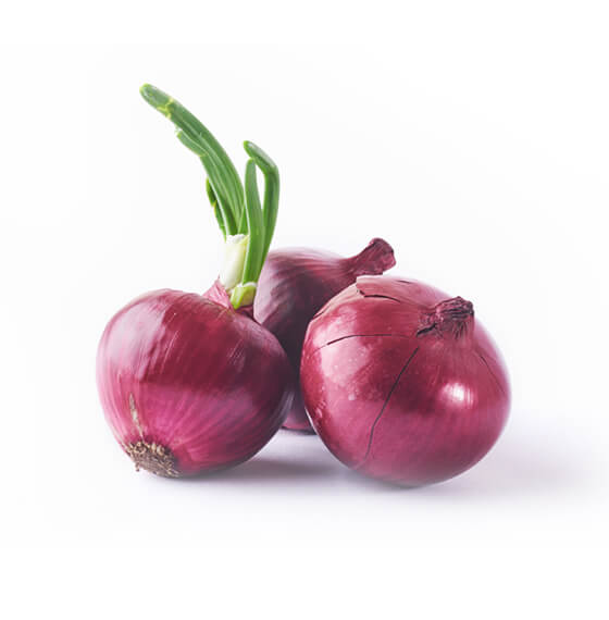 Sargun Fruit and Vegetables